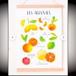Citrus Fruit Print
